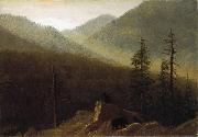 Bears in the Wilderness Bierstadt
